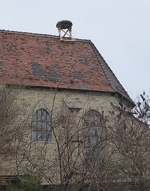 Nistplatz