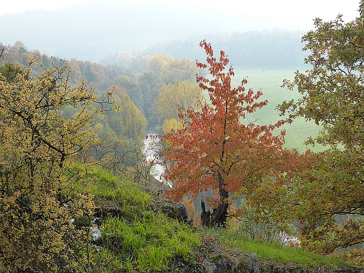 Herbst 2015