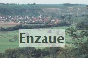 Enzaue