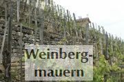 Weinbergmauern