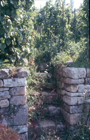 alte Weinbergstaffel